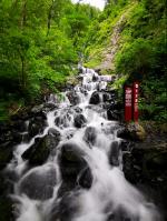 救援水管工